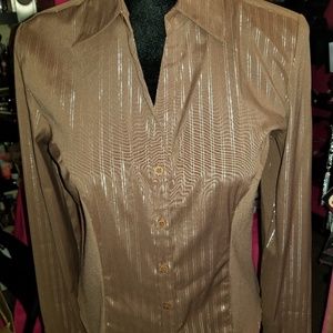 DCC Brown Blouse, sparkle pin stripes
